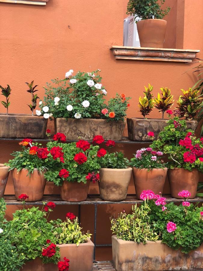 Xacalli Hotel San Miguel de Allende Exterior foto